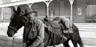 Итан Хоук разрабатывает ремейк вестерна «Стрелок»