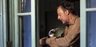 Жан Рено возглавит элегантный триллер о мести «Дворецкий»