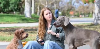 Эми Адамс сыграет с Хавьером Бардемом в сериале «Мыс страха»