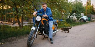 Объявлена дата премьеры продолжения сериала «Кордон»