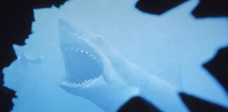 Стивен Кинг назавал свой Топ 10 любимых фильмов