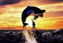 Warner Bros. снимет ремейк фильма «Освободите Вилли»
