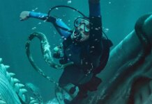 Рецензия на фильм «Кит: Во тьме глубин». Триллер, который топит сам себя