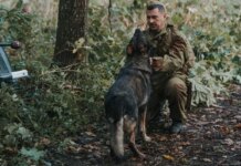 НТВ снимает продолжение военной драмы «Солдат по кличке Рекс»