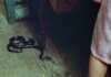 «Хрустальное озеро» исправит грех «Пятницы 13»