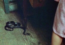 «Хрустальное озеро» исправит грех «Пятницы 13»