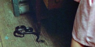«Хрустальное озеро» исправит грех «Пятницы 13»